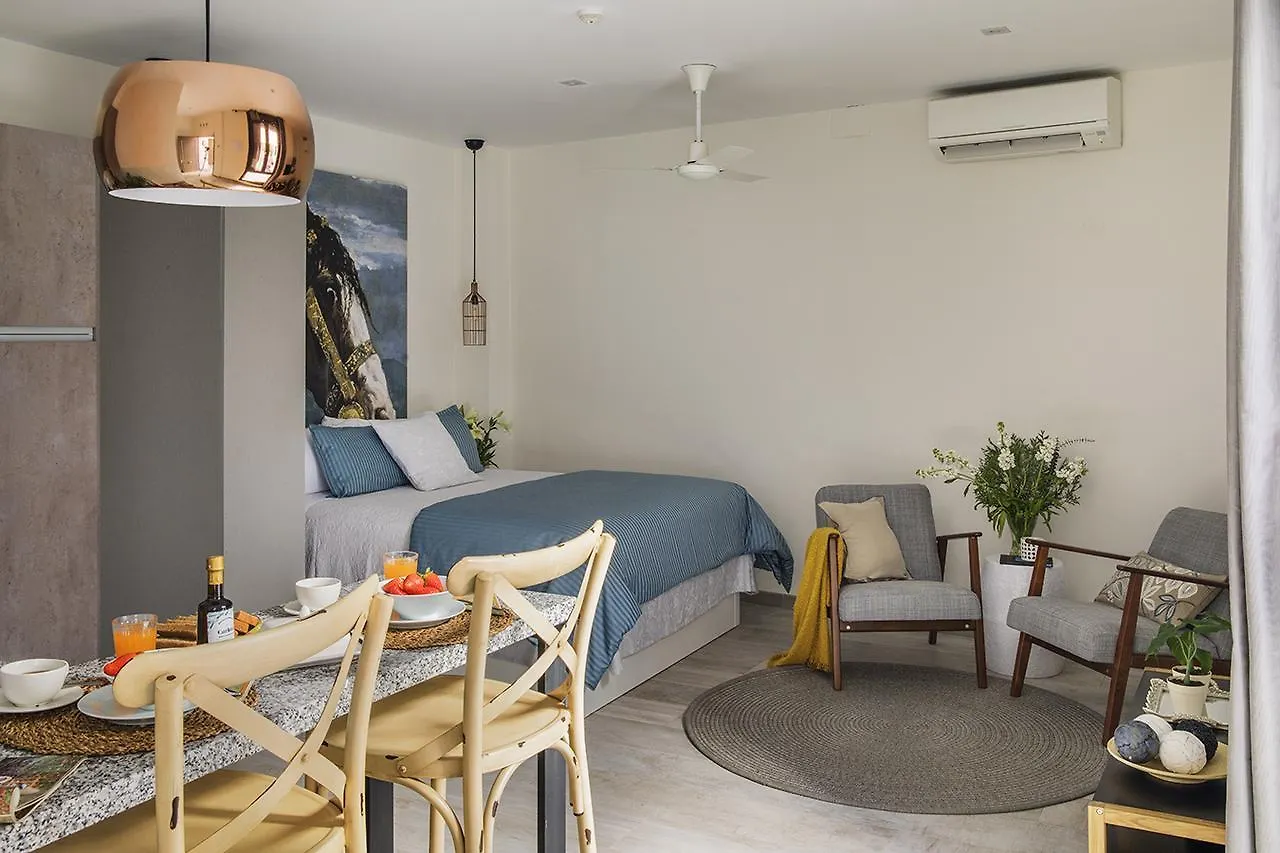 Matahacas Pool & Luxury Apartment Seville