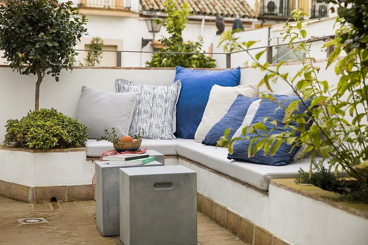 Matahacas Pool & Luxury Apartment Seville