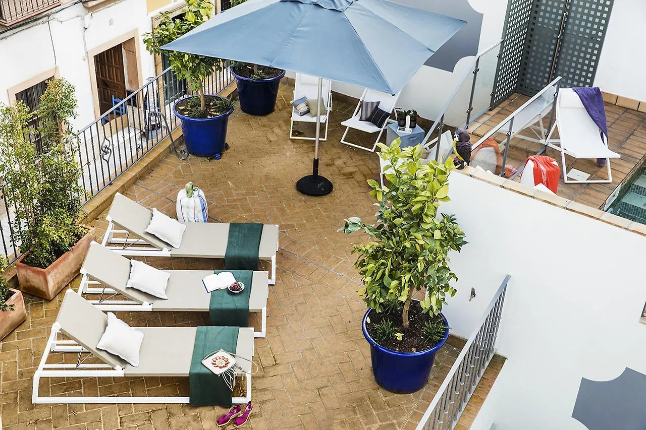 Matahacas Pool & Luxury Apartment Seville Spain