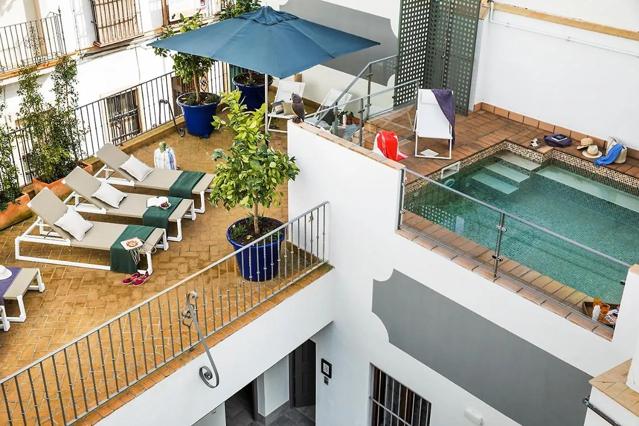 Matahacas Pool & Luxury Apartment Seville